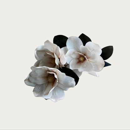 Magnolia
